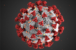 How Life Insurance Companies Are Responding to COVID-19